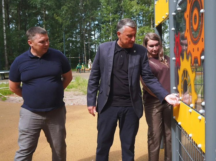     В Деревяницкой роще появилась новая детская площадка. фото с сайта правительства Новгородской области