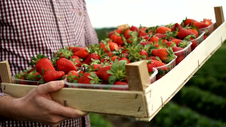 istockphoto.com