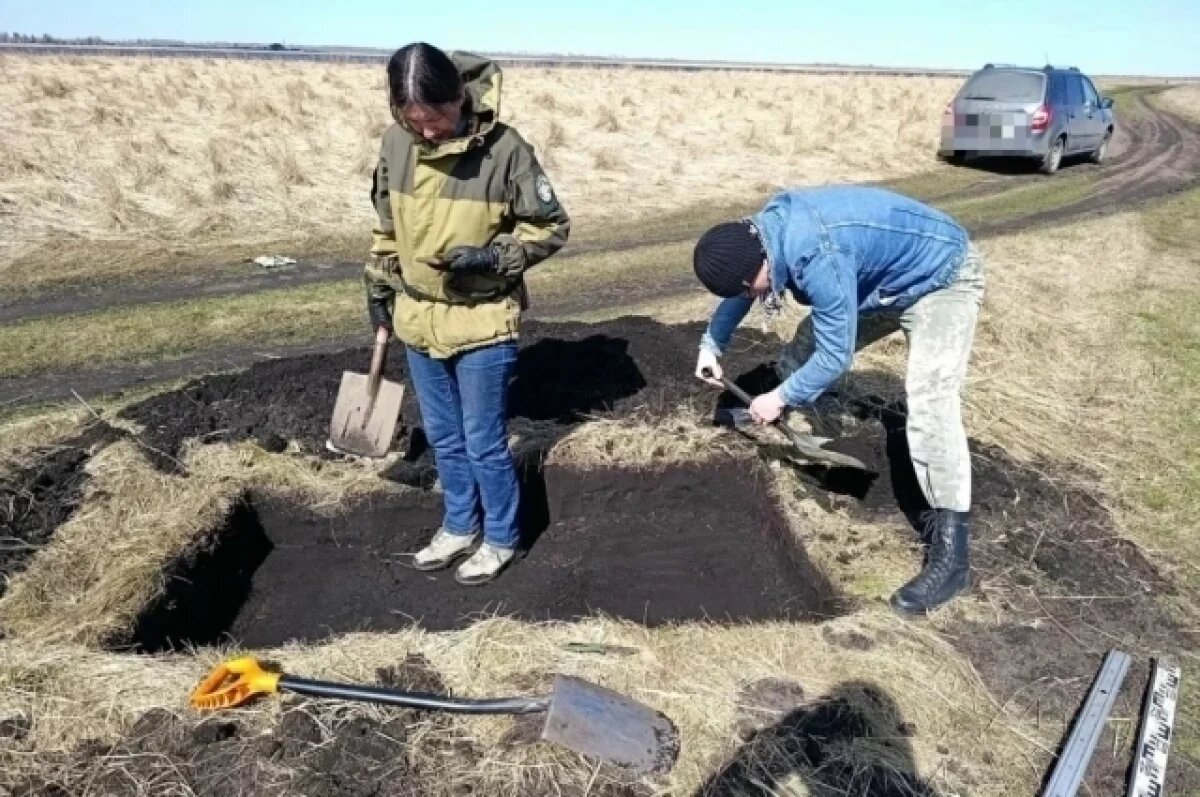    Археологи нашли укрепленное поселение бронзового века под Челябинском