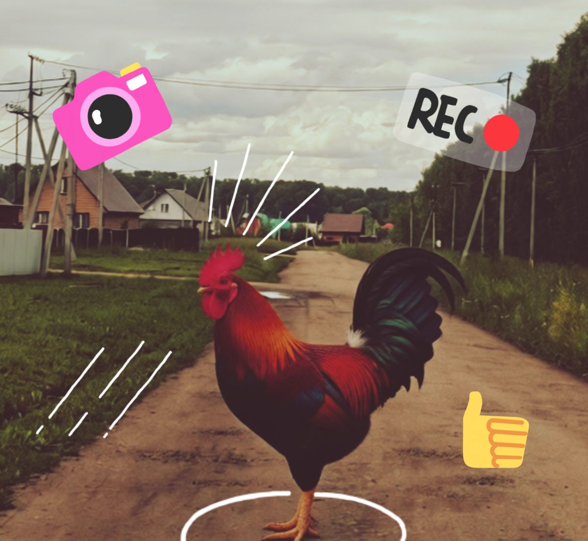 Иишкина фотообработка 😊