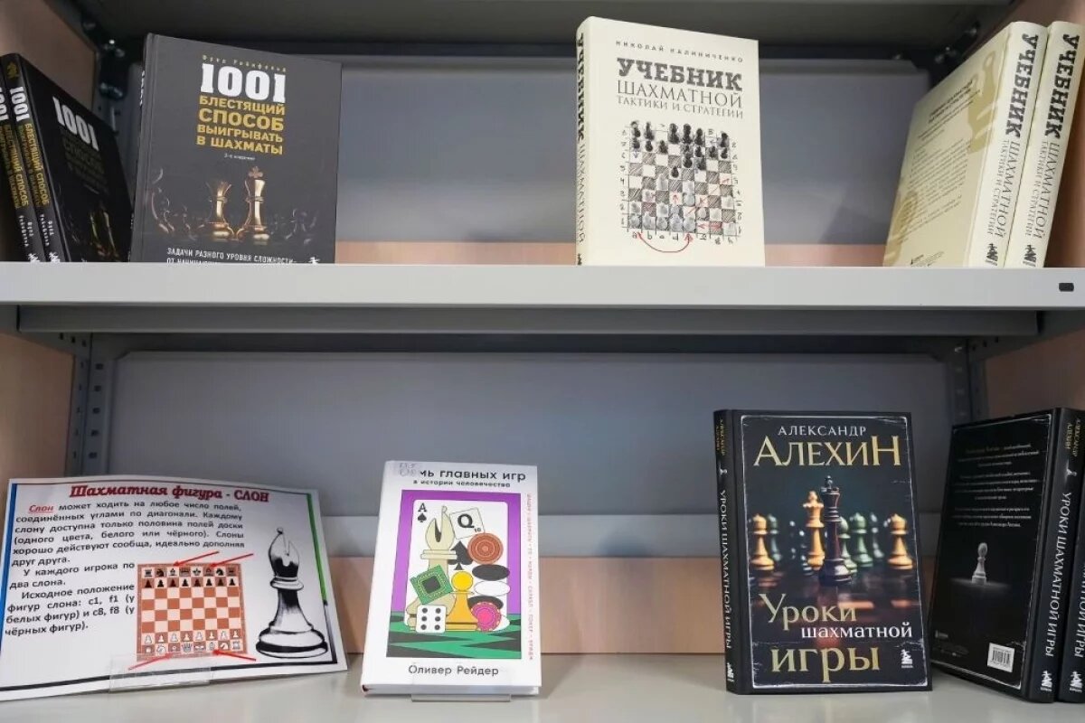    В библиотеке можно не просто взять книгу, но и сыграть партию в шахматы.