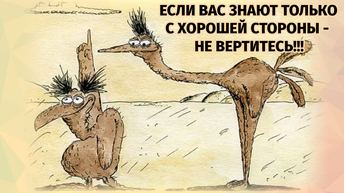 -3
