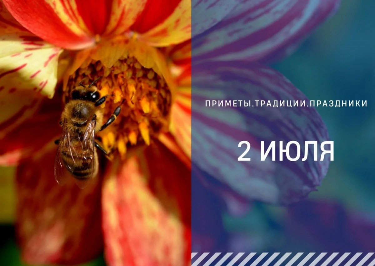 ГТРК "Ставрополье"