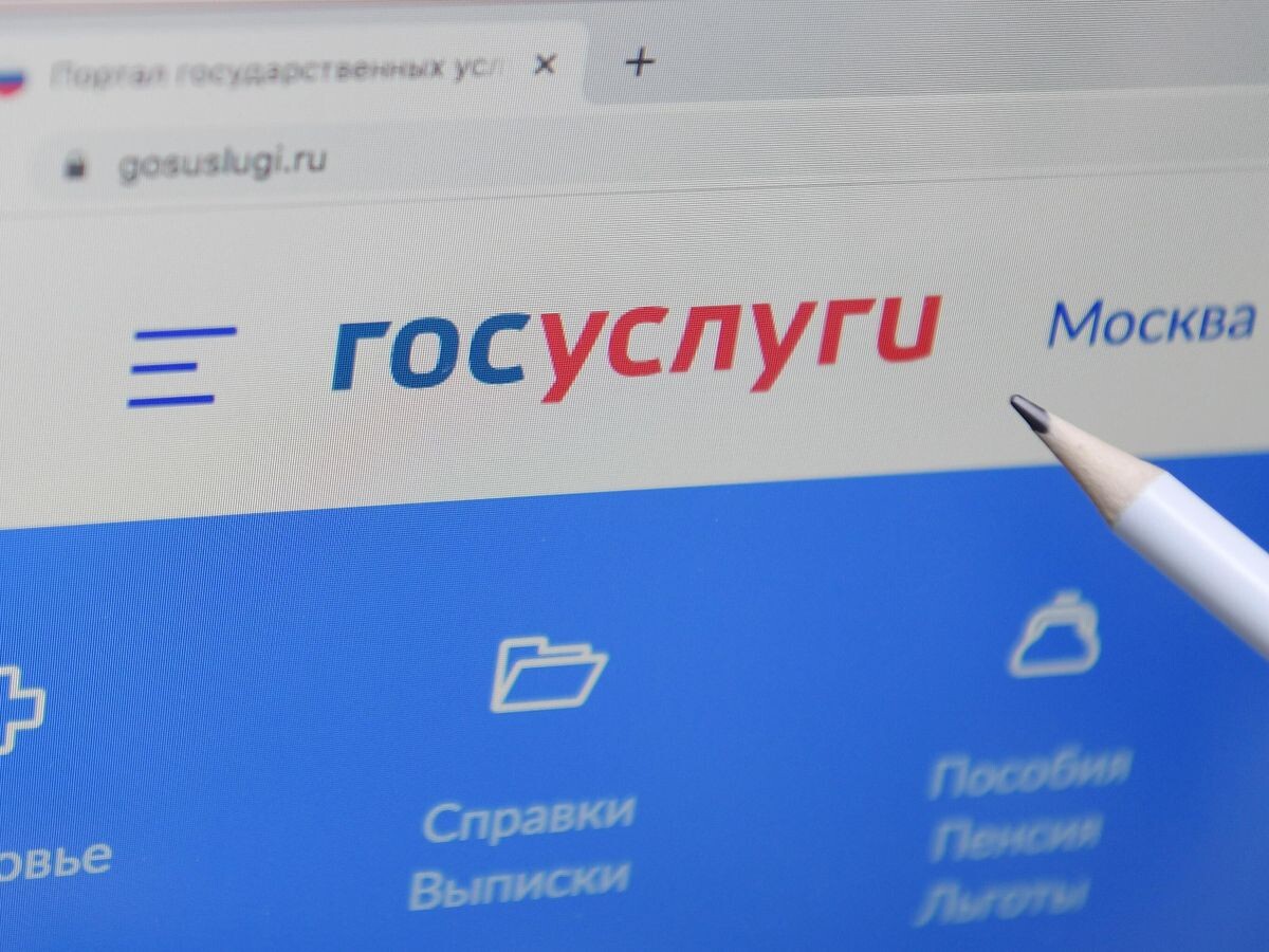    Справочно-информационный интернет-портал Госуслуги© РИА Новости . Владимир Трефилов