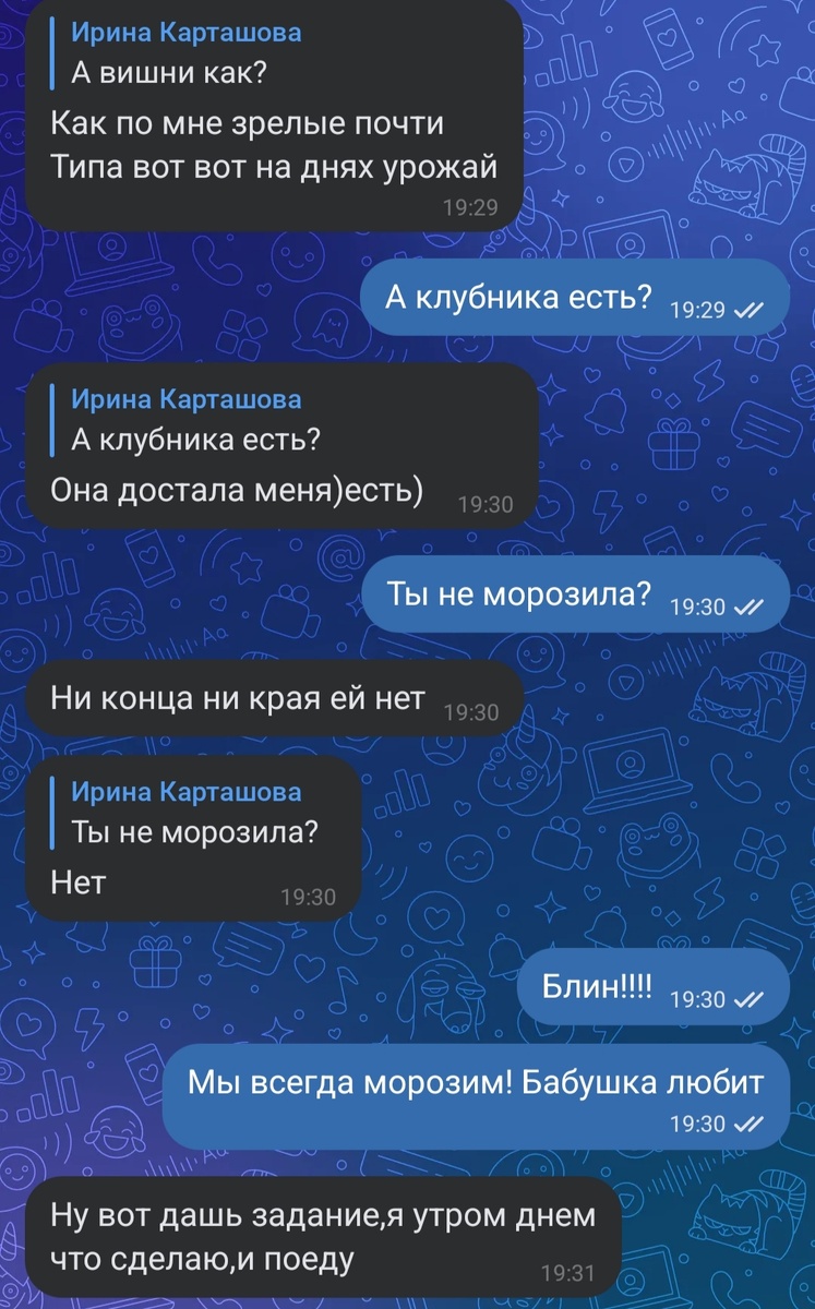 Скрин из переписки с дочкой. 