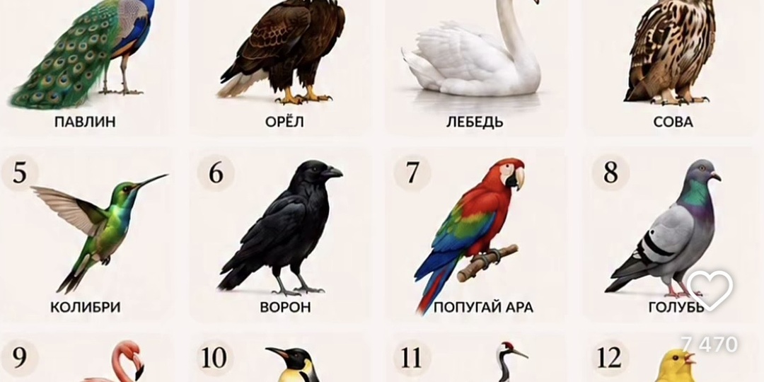 Какая птица живет с вашей душе и что она вам запрещает. Тест