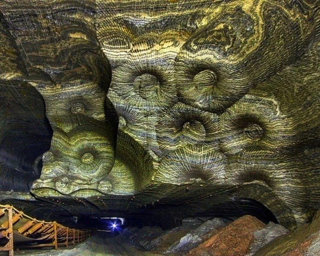 Фотограф Михаил Мишайник