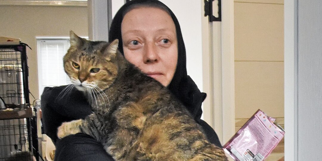 Монахиня рассказала, как её выгнали вместе с котятами из перехода к воронежскому ТРЦ