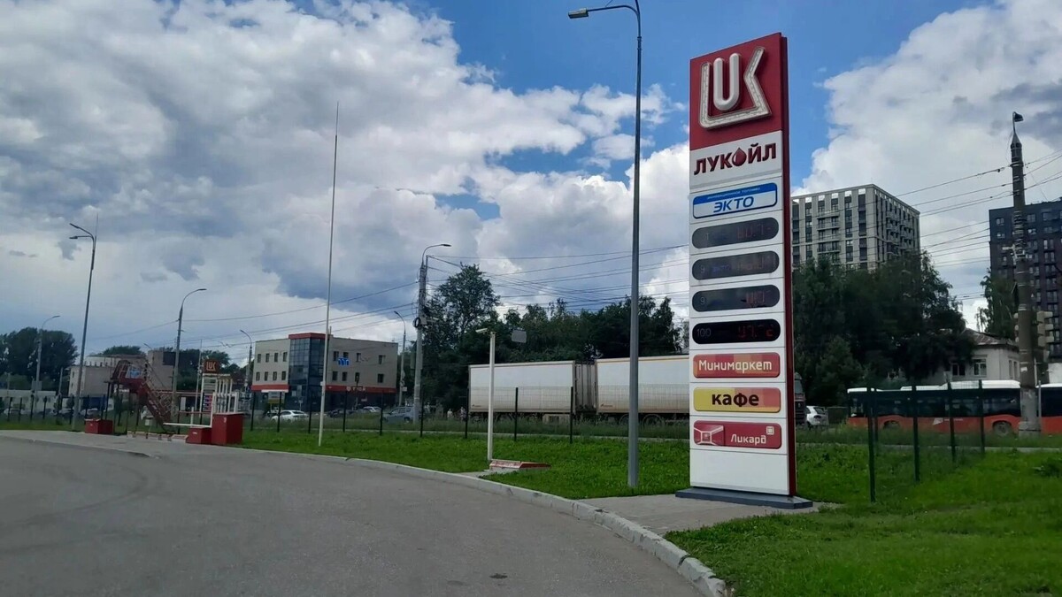   udm-info.ru