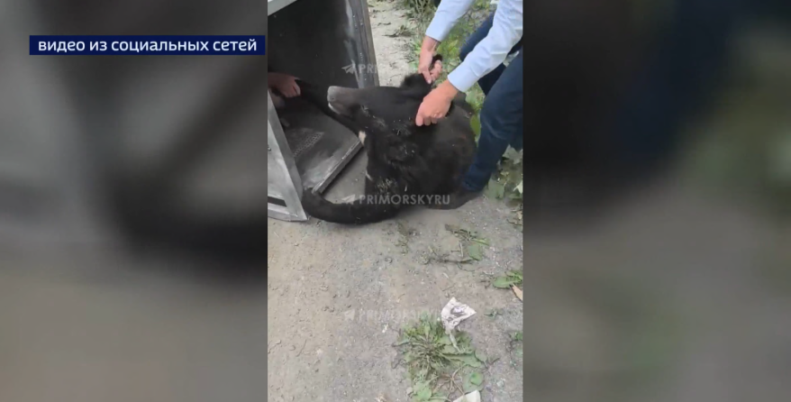    Источник фото: