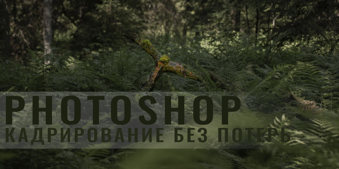 Кадрирование без обрезки изображения. Деформация в Photoshop.