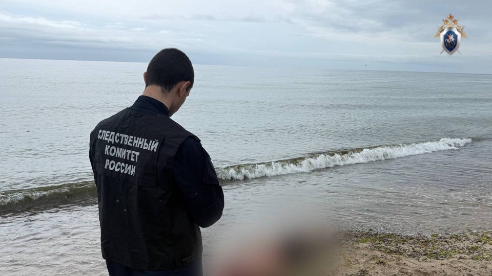    . предоставлено СУ СКР по Калининградской области