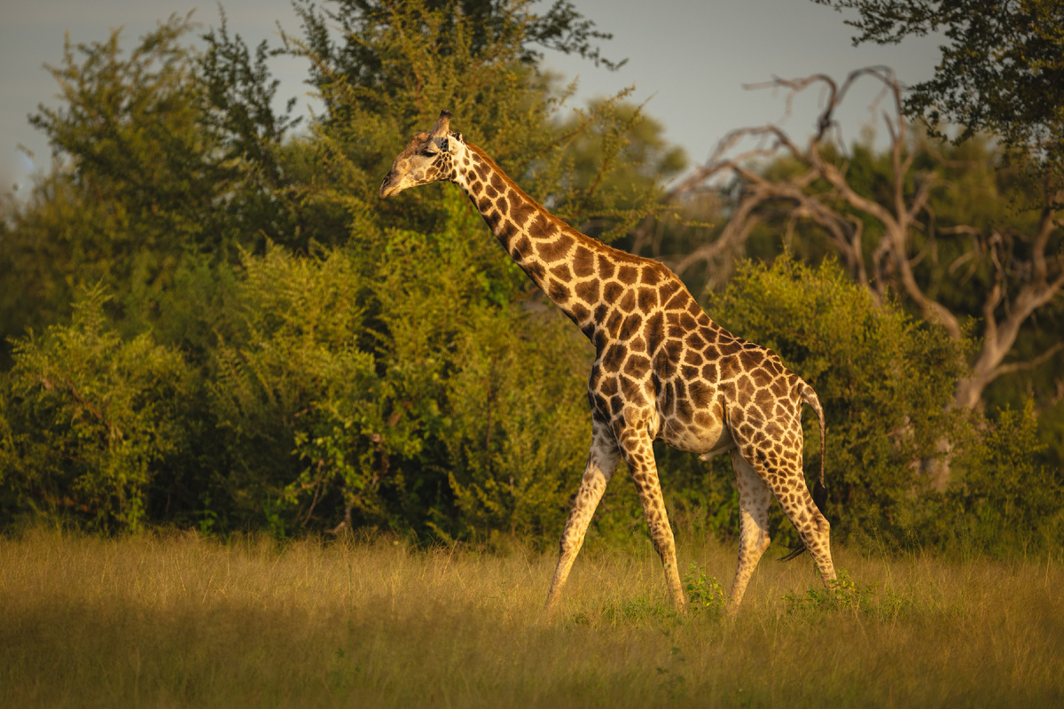 Фото: Shutterstock