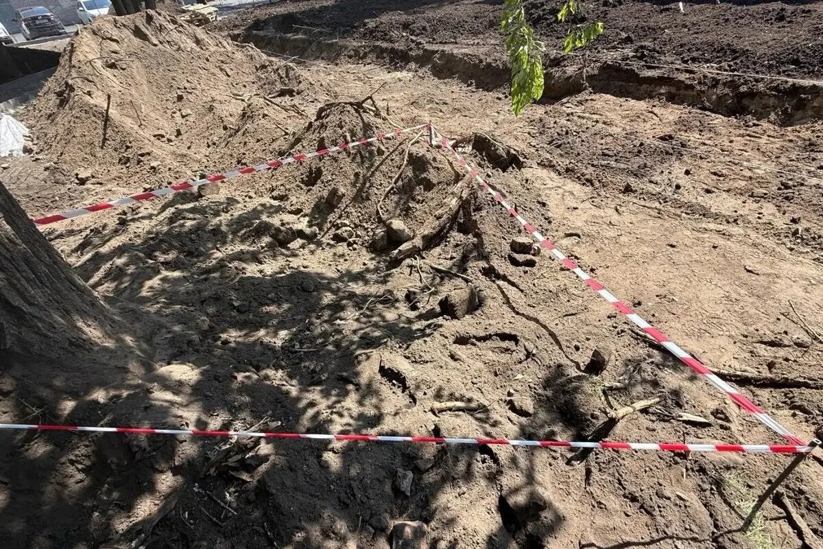    Фото: ГУ Росгвардии по Петербургу и Ленобласти