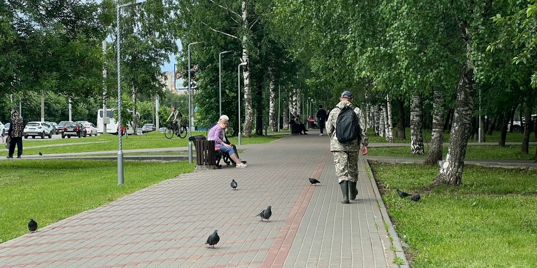 Кировчан ждет сильная магнитная буря и северное сияние
