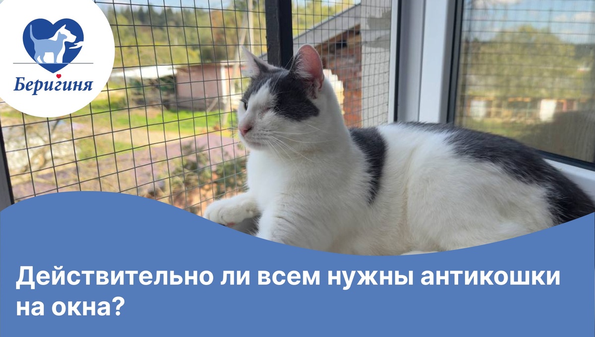 #берегиня_Юки