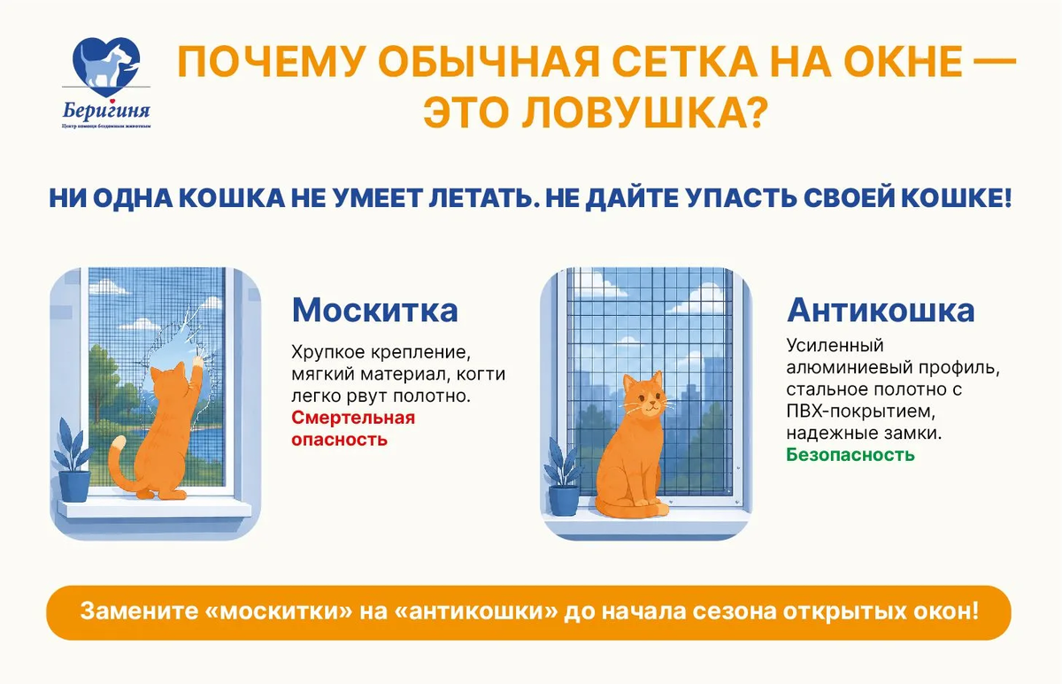 Вес кошки еще и в прыжке не оставляет шансов никакой противомоскитной сетке