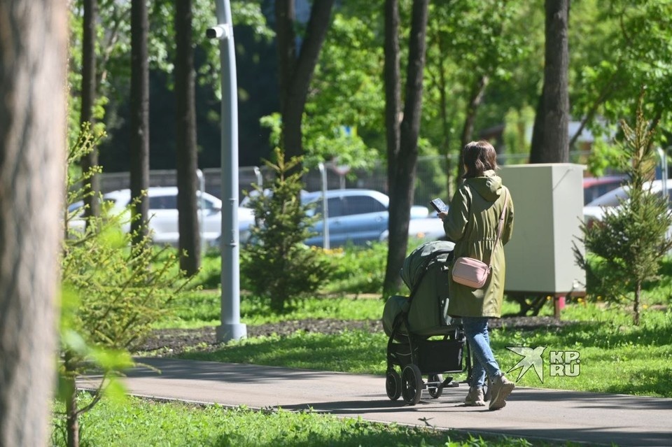    Идею оградить парк поддержали 56,8% жителей Ольга ЮШКОВА