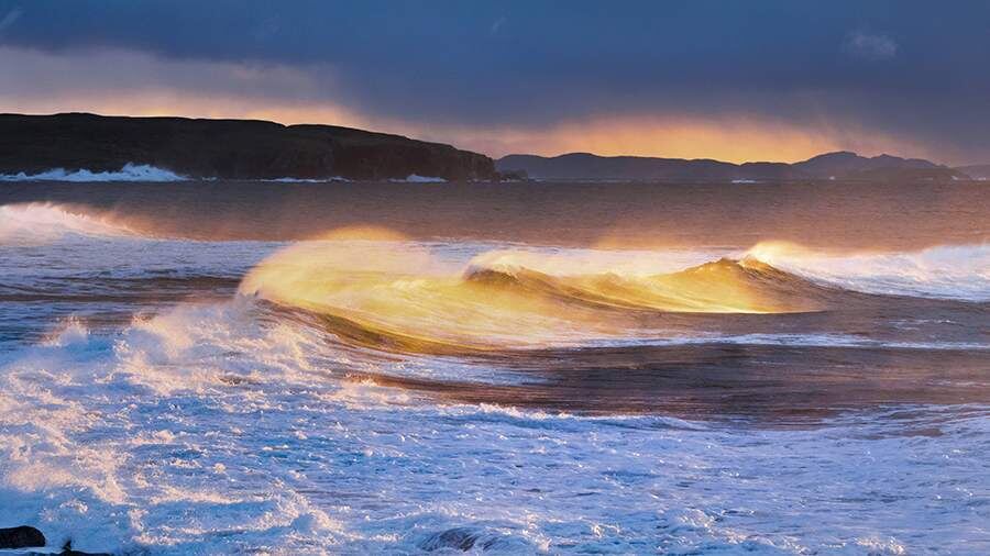    Фото: Global Look Press/IMAGO/P. Frischknecht