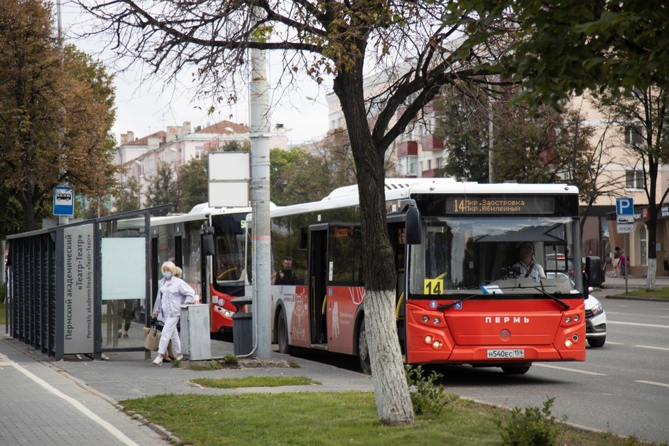    В Пермский край поступят 44 новых автобуса Николай ОБЕРЕМЧЕНКО
