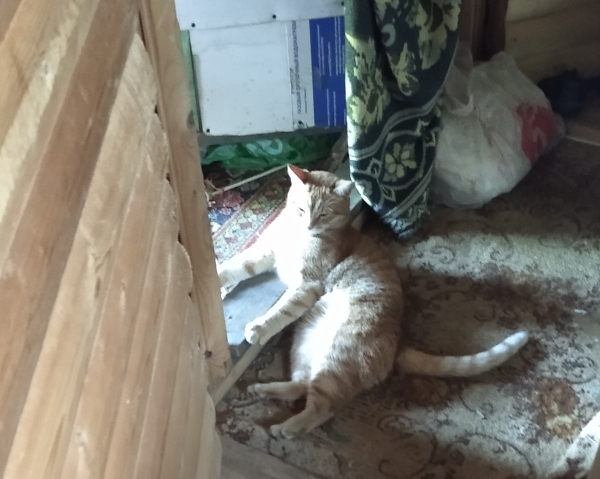 личное