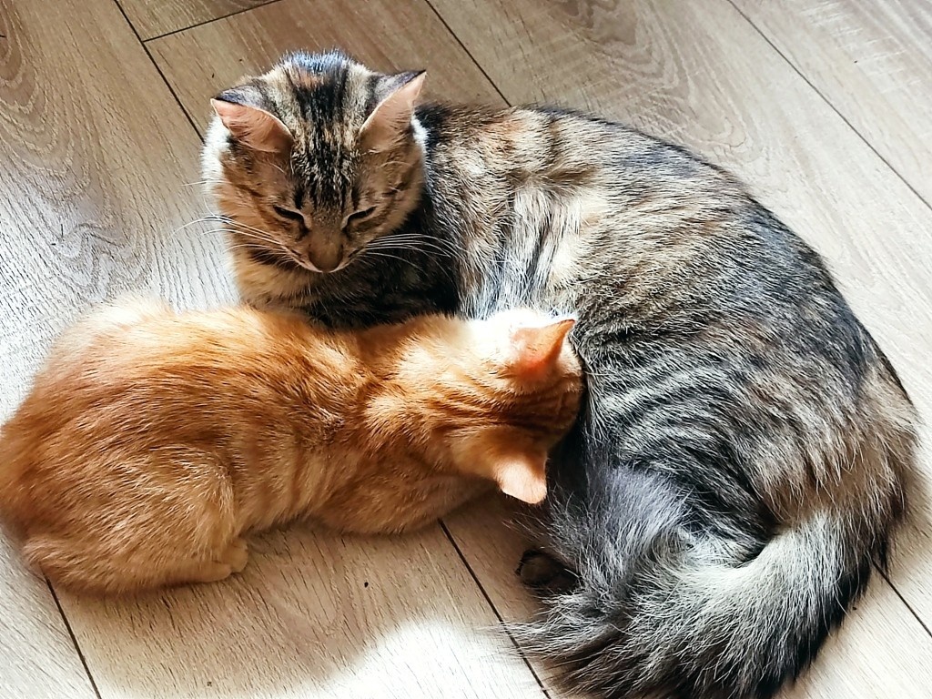 -2