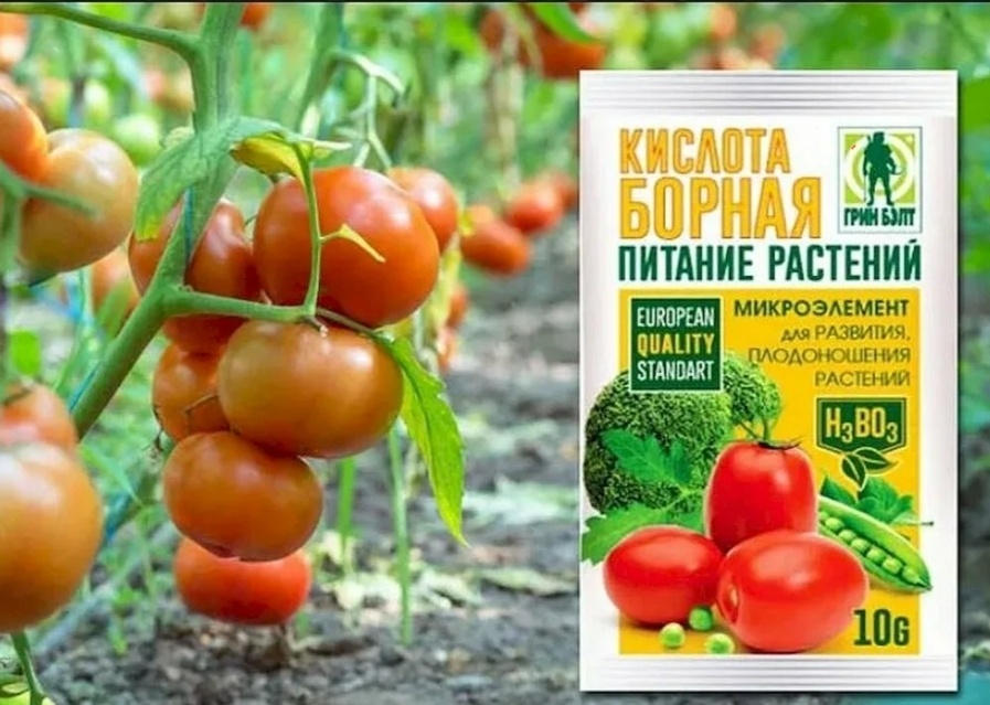 Изображение из открытых источников 
