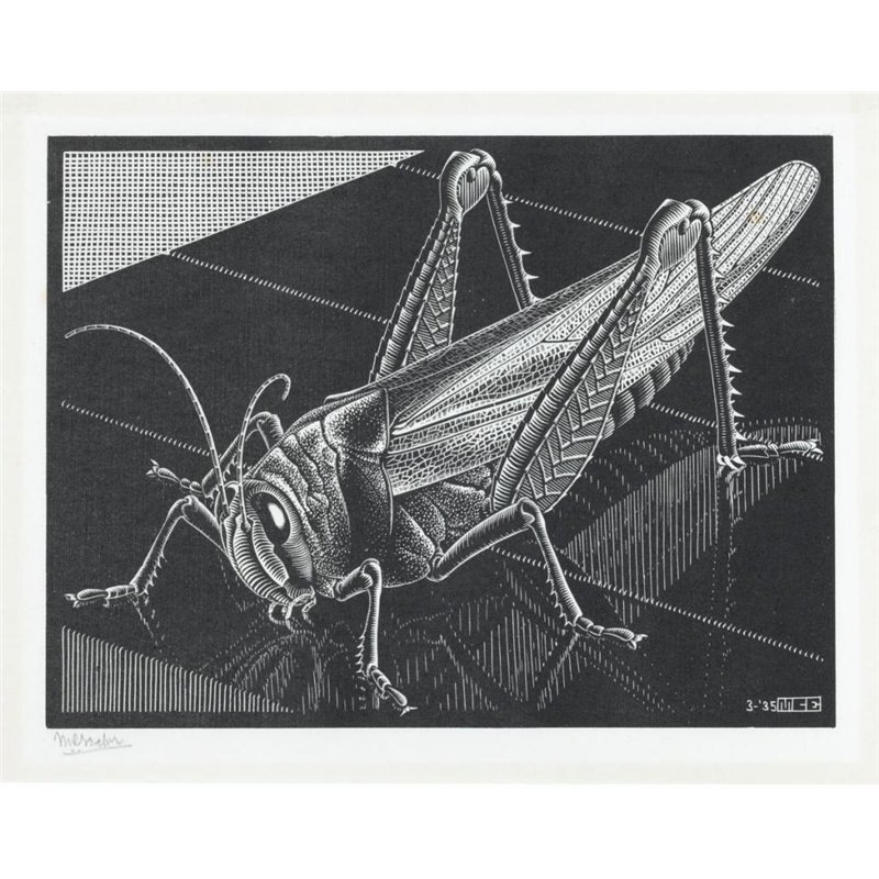 Мауриц Эшер "Кузнечик", 1935 г. гравюра
