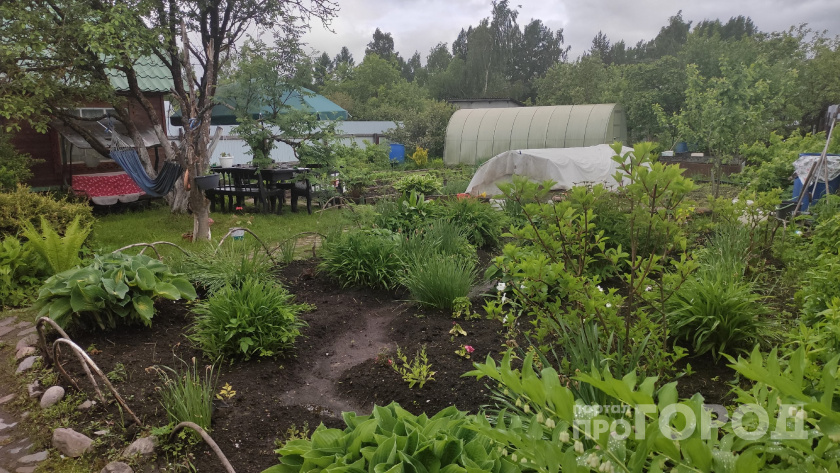    ПроГород