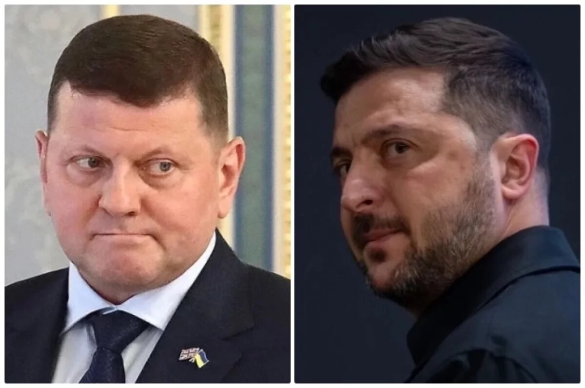   Валерий Залужный и Владимир Зеленский.