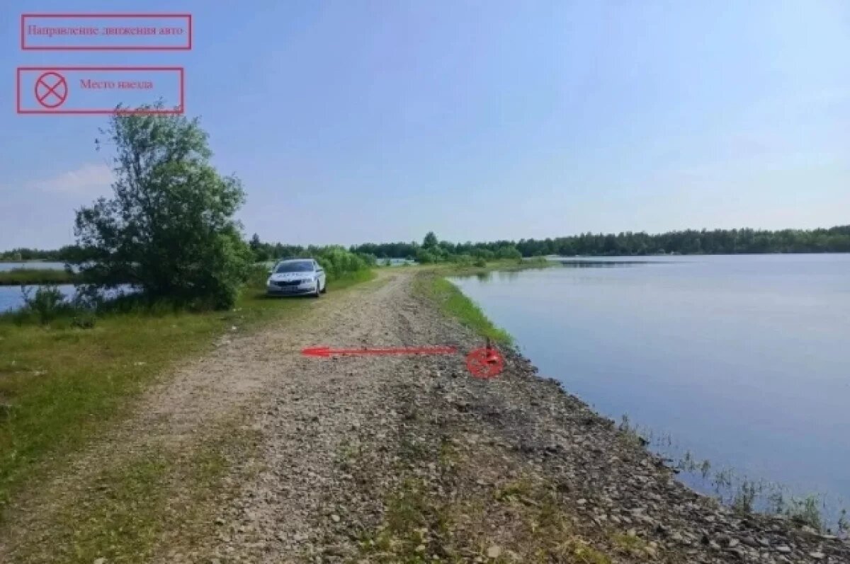    В Биробиджане водитель под градусом сдал назад, сбил женщину и сбежал