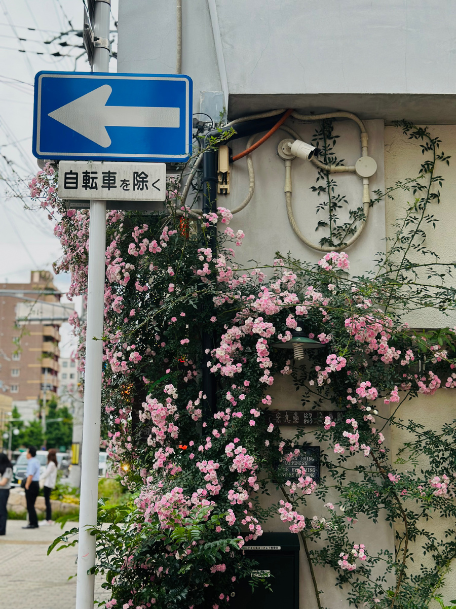 Киото