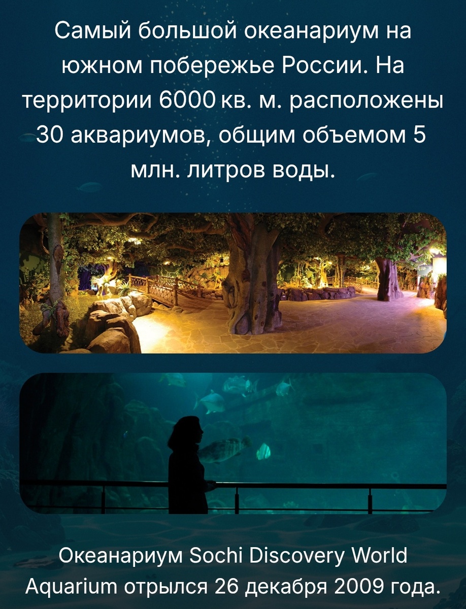 С официального сайта