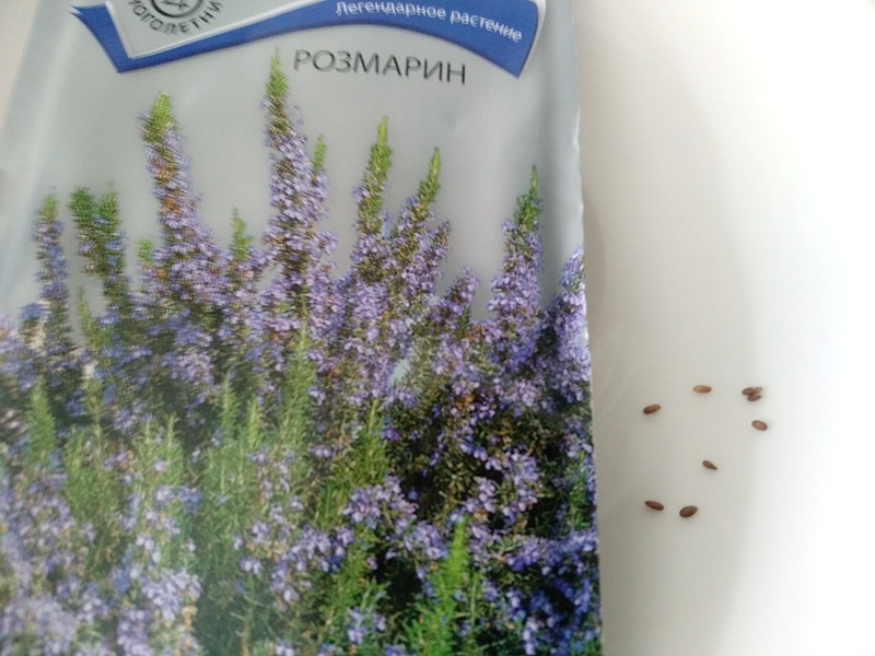 Упаковка с семенами розмарина