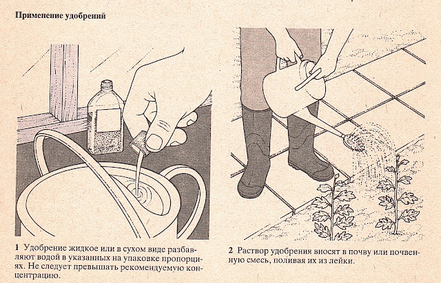 Применение удобрений в теплице
