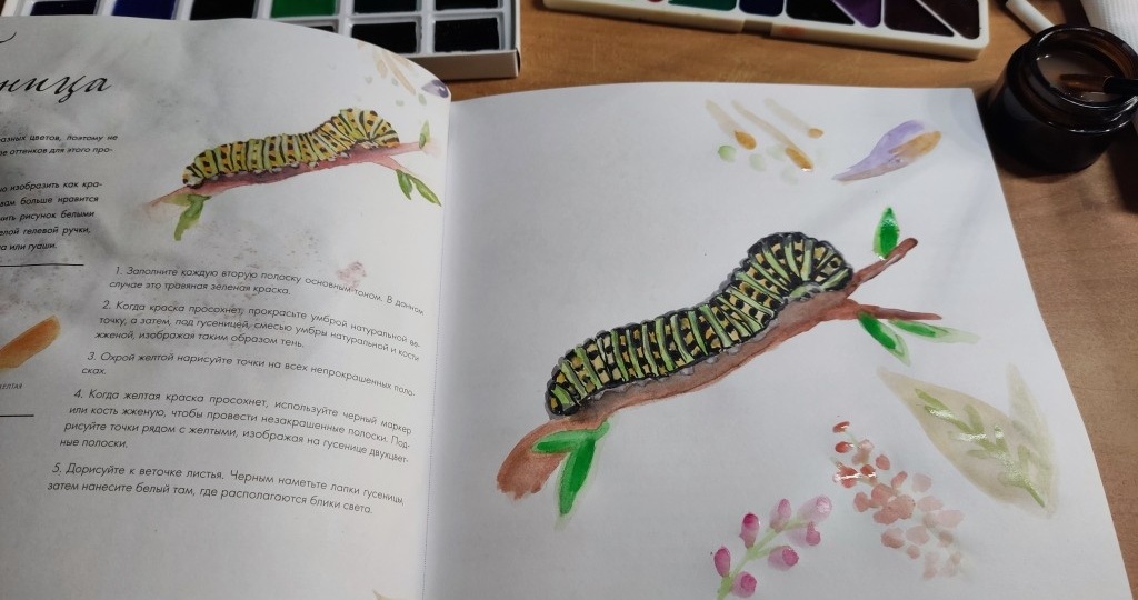 По рисунку каждый день: Гусеница и дешевая акварель