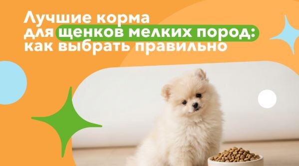 Лучшие корма для щенков мелких пород — рейтинг и советы