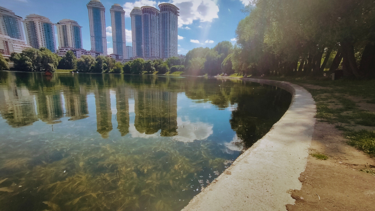 Водоросли и береговая линия Мосфильмовского пруда