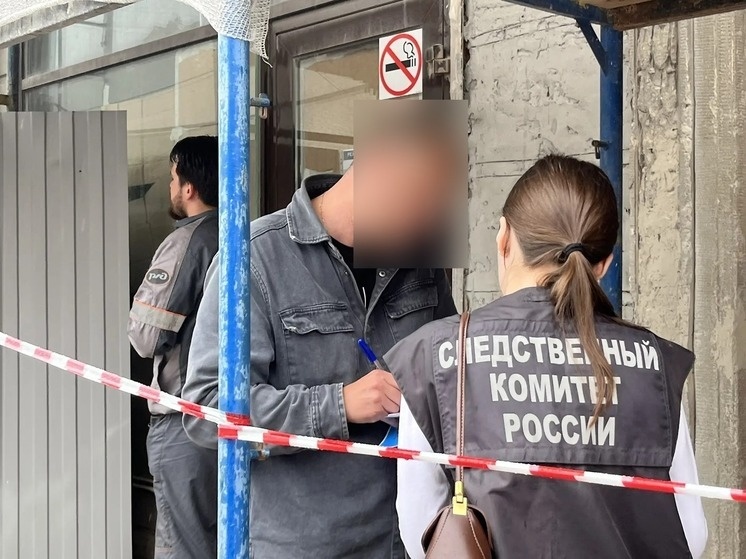     Сейчас территорию изучают сотрудники Следственного комитета, МЧС и представители ЖКС. Фото: МК в Питере / Камилла Латыпова