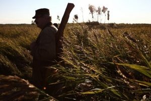 С 13 июля начнут выдавать разрешения на добычу пернатой дичи в Омской области