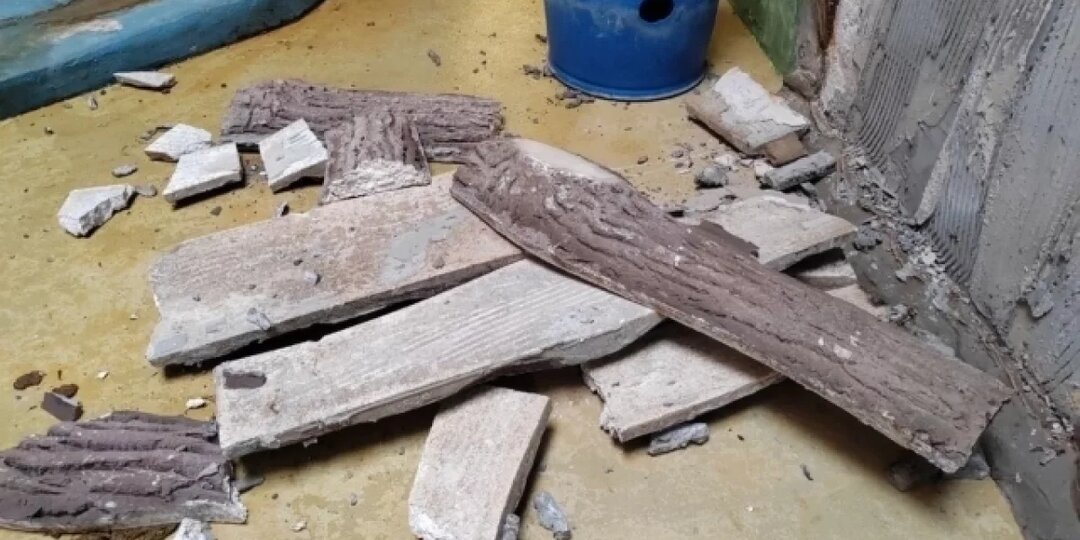 В Калининградском зоопарке объявили торги на строительство медвежатника