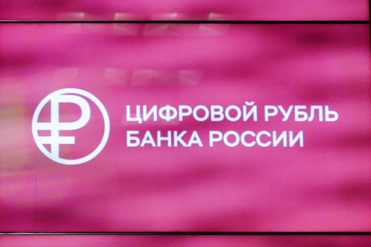    Фото: Авилов Александр/Агентство «Москва»