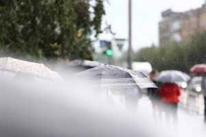 Дожди, грозы и шквалистый ветер: какой будет погода в Омской области на выходных