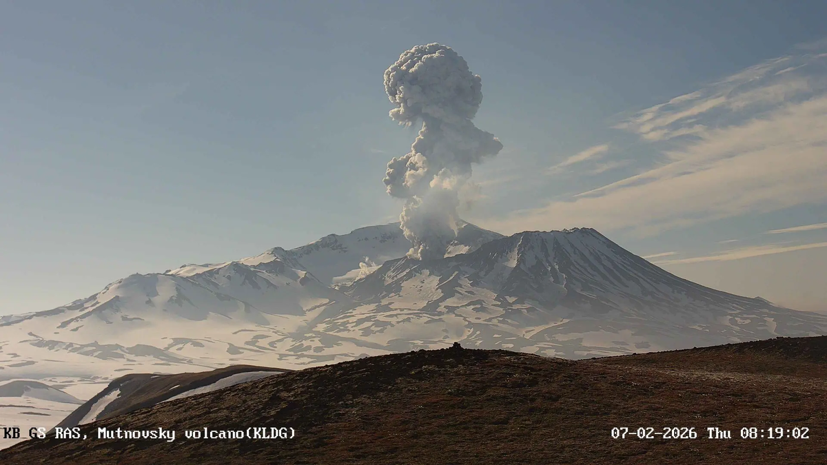 Фото: скриншот с камеры Камчатского филиала ФИЦ ЕГС РАН
