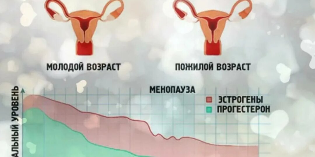 Особенности питания при менопаузе. Как подготовиться к климаксу и пережить его без стресса