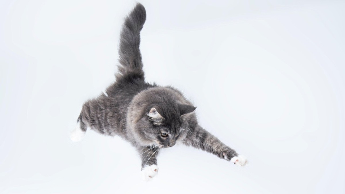 источник фото: https://resizer.mail.ru/p/3d119c34-c1dc-54c8-b055-22457d03f38d/AQAOijw4lmJWHl-EuzyJ0l62Amef7n8Zzq6QBu0bGKZqrtTQJUecwYK3VvP9jQ32SxMknobCEwaFBEZaPpa6cV1zp2k.jpg
