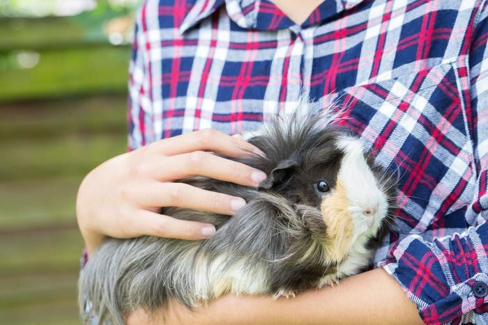 Обложка © Shutterstock / FOTODOM / Daisy Daisy
