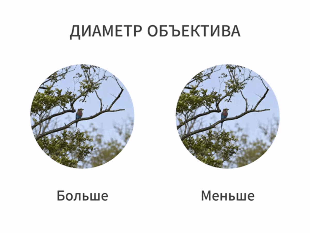-4