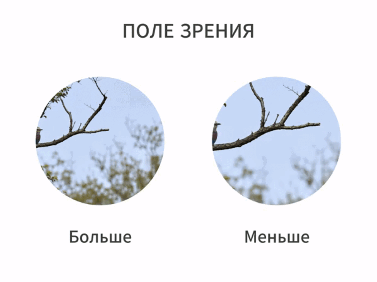 -5
