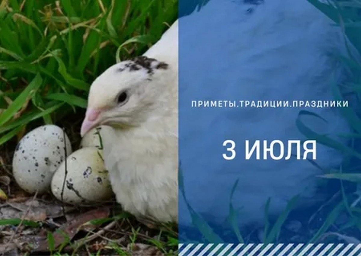 ГТРК "Ставрополье"